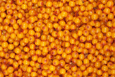 sea-buckthorn, background Stock Photo - Budget Royalty-Free & Subscription, Code: 400-04910029