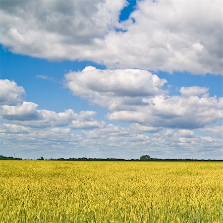 simsearch:400-05297405,k - beautiful landscape with blue sky and white clouds Foto de stock - Super Valor sin royalties y Suscripción, Código: 400-04910053