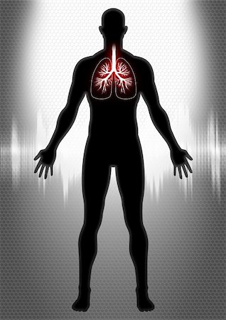 rudall30 (artist) - A silhouette of man figure with lung illustration and heartbeat graphic Stock Photo - Budget Royalty-Free & Subscription, Code: 400-04910740