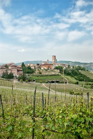 Vineyards around a country town Photographie de stock - Aubaine LD & Abonnement, Code: 400-04911008