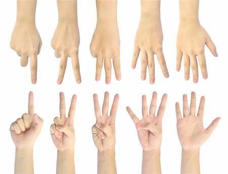 four fingers - set counting number 1-5 of woman hand isolated on white background Stock Photo - Budget Royalty-Free & Subscription, Code: 400-04912166