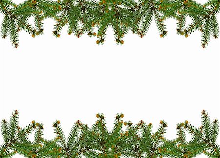 santa border - frame of pine branches over white Stock Photo - Budget Royalty-Free & Subscription, Code: 400-04912718