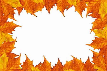 simsearch:400-05277296,k - autumun frame of maple leaves Stock Photo - Budget Royalty-Free & Subscription, Code: 400-04912719