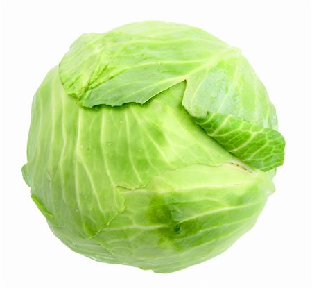 Single green cabbage with dew. Close-up. Isolated on white background. Studio photography. Stock Photo - Budget Royalty-Free & Subscription, Code: 400-04924369