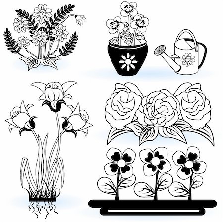 stiven (artist) - A collection of black and white different flower illustrations. Fotografie stock - Microstock e Abbonamento, Codice: 400-04924824