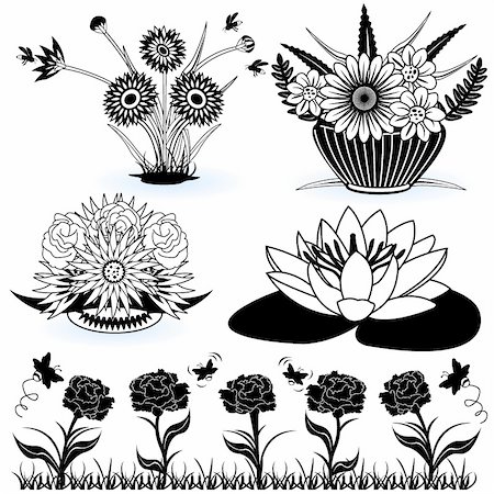 stiven (artist) - A collection of black and white different flower illustrations. Fotografie stock - Microstock e Abbonamento, Codice: 400-04924825