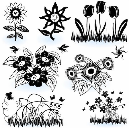 stiven (artist) - A collection of black and white different flower illustrations. Fotografie stock - Microstock e Abbonamento, Codice: 400-04924829