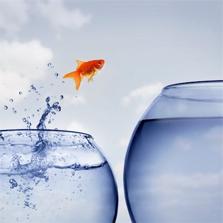 simsearch:400-04545787,k - goldfish jumping out of the water Stock Photo - Budget Royalty-Free & Subscription, Code: 400-04925406