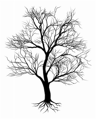 A hand drawn old tree silhouette illustration Stock Photo - Budget Royalty-Free & Subscription, Code: 400-04926273