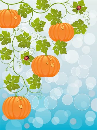 pumpkin leaf pattern - Floral background with a pumpkin. Vector illustration. Photographie de stock - Aubaine LD & Abonnement, Code: 400-04921530