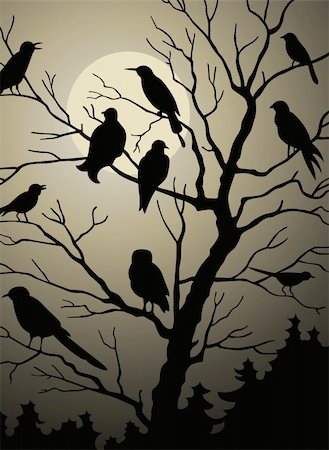 Birds on the tree at night Stock Photo - Budget Royalty-Free & Subscription, Code: 400-04922788