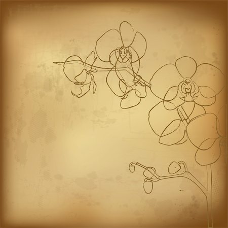 Orchid And Old Paper, Vector Illustration Stock Photo - Budget Royalty-Free & Subscription, Code: 400-04922938