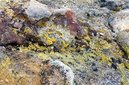 The silica, sulfur deposits, lichen and rhyolite structures of the active volcanic Krafla System in Iceland Foto de stock - Super Valor sin royalties y Suscripción, Código: 400-04923196