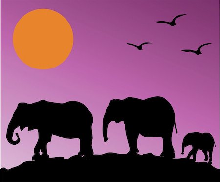 simsearch:400-05190366,k - Vector illustration of elephant family Stock Photo - Budget Royalty-Free & Subscription, Code: 400-04923652
