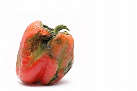photos of vegetable garbage - a not so fresh bell pepper - took a couple of weeks to get this shot, lol... isolated macro over white Foto de stock - Super Valor sin royalties y Suscripción, Código: 400-04934780