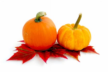 simsearch:400-05270213,k - Mini pumkins with autumn leaves on white background Foto de stock - Royalty-Free Super Valor e Assinatura, Número: 400-04938277