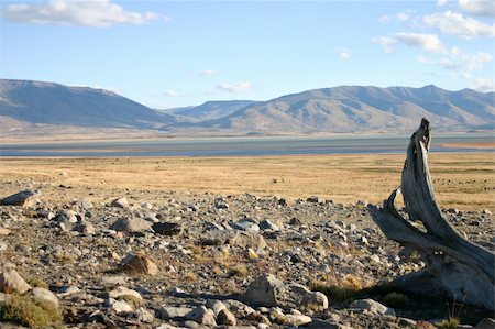 landscape in patagonia close to El Calafate - perito moreno Stock Photo - Budget Royalty-Free & Subscription, Code: 400-04938656