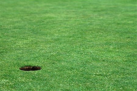 simsearch:400-05370464,k - short cutted grass, golf hole, no ball, distance blur Stock Photo - Budget Royalty-Free & Subscription, Code: 400-04938773