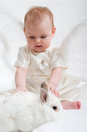 cute little girl dressed like fairy with fluffy wings plays with white rabbit Foto de stock - Super Valor sin royalties y Suscripción, Código: 400-04939387