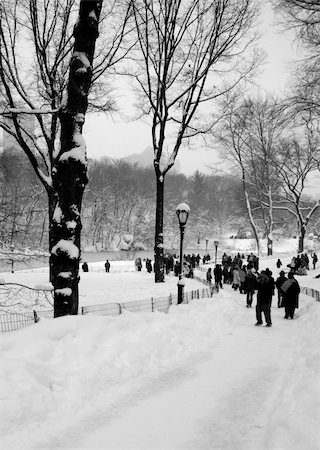 Sidewalk in Central Park Stock Photo - Budget Royalty-Free & Subscription, Code: 400-04932300