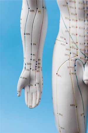 shiatsu - focus on the hand channels (meridians) of an acupuncture figure. Foto de stock - Super Valor sin royalties y Suscripción, Código: 400-04933163