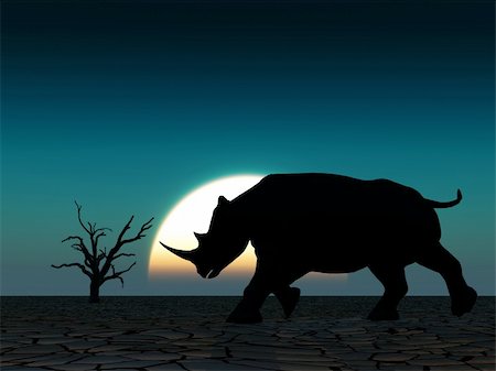 simsearch:400-04455503,k - An image of an Rhino silhouette with a African sky background. Stock Photo - Budget Royalty-Free & Subscription, Code: 400-04944499