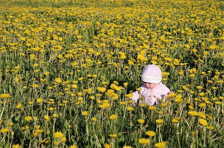 baby siting at spring dandelions meadow Stock Photo - Budget Royalty-Free & Subscription, Code: 400-04944922