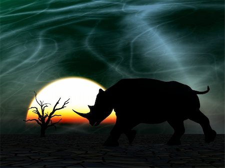 simsearch:400-04455503,k - An image of an Rhino silhouette with a African sky background. Stock Photo - Budget Royalty-Free & Subscription, Code: 400-04945287