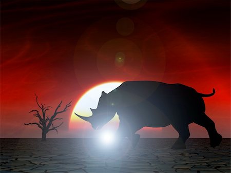 simsearch:400-04455503,k - An image of an Rhino silhouette with a African sky background. Stock Photo - Budget Royalty-Free & Subscription, Code: 400-04945288