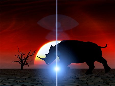 simsearch:400-04455503,k - An image of an Rhino silhouette with a African sky background. Stock Photo - Budget Royalty-Free & Subscription, Code: 400-04945289