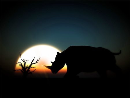 simsearch:400-04455503,k - An image of an Rhino silhouette with a African sky background. Stock Photo - Budget Royalty-Free & Subscription, Code: 400-04945290