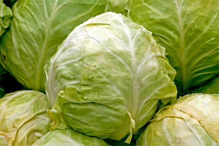 simsearch:400-08933041,k - Organic green cabbage vegetables on the market Photographie de stock - Aubaine LD & Abonnement, Code: 400-04945317