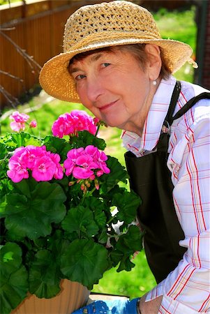 simsearch:400-04439731,k - Senior woman with a pot of geranuim flowers in her garden Photographie de stock - Aubaine LD & Abonnement, Code: 400-04946490