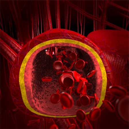 3D rendering of cut section (blood arteries). Focus in the middle of artery while distant arteries and veins are out of focus. Lightning focus also in the center and darker to the edges. Stockbilder - Microstock & Abonnement, Bildnummer: 400-04946664