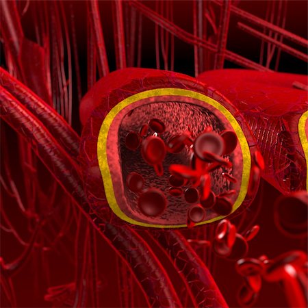3D rendering of cut section (blood arteries). Focus in the middle of artery while distant arteries and veins are out of focus. Lightning focus also in the center and darker to the edges. Stockbilder - Microstock & Abonnement, Bildnummer: 400-04946663