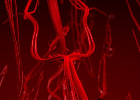 simsearch:400-04946673,k - 3D rendering of blood arteries. Focus in the middle of artery while distant arteries and veins are out of focus. Lightning focus also in the center and darker to the distance. Stock Photo - Budget Royalty-Free & Subscription, Code: 400-04946671