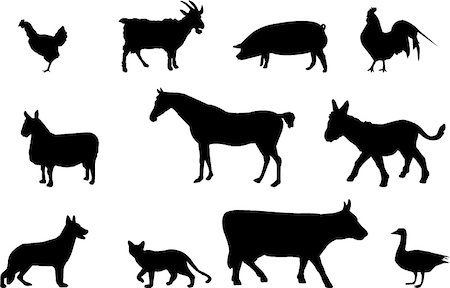 silhouette of donkeys and sheep - farm animals silhouettes Stock Photo - Budget Royalty-Free & Subscription, Code: 400-04947124