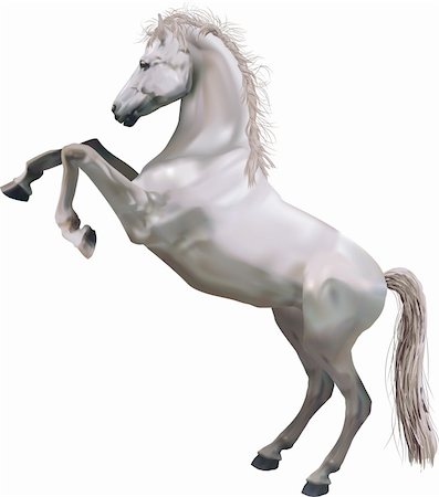 standing on hind legs - A photorealistic illustration of a horse rearing up on its hind legs. Created with meshes. Foto de stock - Super Valor sin royalties y Suscripción, Código: 400-04948588