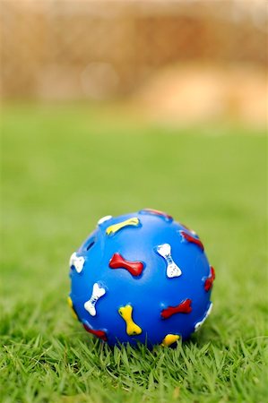 A pet toy blue ball on grass at park. Focus on the ball. Stock Photo - Budget Royalty-Free & Subscription, Code: 400-04949115