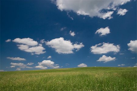 Green field and blue sky with cumulus clouds Foto de stock - Royalty-Free Super Valor e Assinatura, Número: 400-04949372