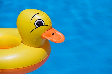 simsearch:400-08250893,k - plastic duck floating in a swimming pool Stockbilder - Microstock & Abonnement, Bildnummer: 400-04949526