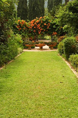 A green tropical garden fill with flowers and different plants. Stock Photo - Budget Royalty-Free & Subscription, Code: 400-04949941