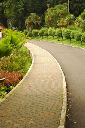 A jogging path way at garden Stock Photo - Budget Royalty-Free & Subscription, Code: 400-04949943