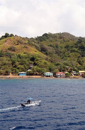 Roatan Honduras Coastline with Boat Traveling in Ocean Stock Photo - Budget Royalty-Free & Subscription, Code: 400-04941025