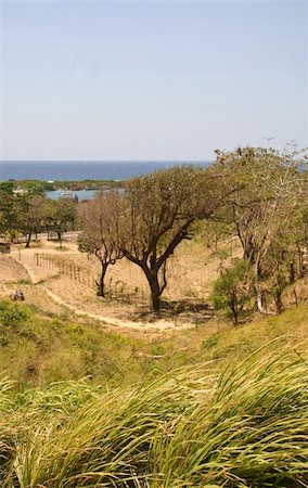 roatan - Green Meadow Along Coastline in Roatan Honduras Foto de stock - Royalty-Free Super Valor e Assinatura, Número: 400-04941028