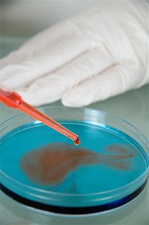 petri dish and hand - Liquids on a petri dish Stock Photo - Budget Royalty-Free & Subscription, Code: 400-04942252