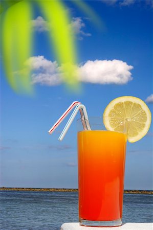 simsearch:862-03289334,k - Tropical drink with palm foliage foreground and sunny beach background Photographie de stock - Aubaine LD & Abonnement, Code: 400-04942429