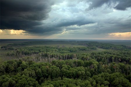 The photograph of taiga in flight at the height of 80 meters. Thunderstorm clouds close sky. Because of the clouds break through it shone brightly the suns. Foto de stock - Super Valor sin royalties y Suscripción, Código: 400-04942703