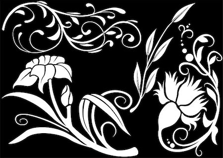 Floral decoration 11 - black and white ornamental decoration Stock Photo - Budget Royalty-Free & Subscription, Code: 400-04942926