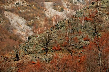 simsearch:400-05270905,k - Seasonal landscape in Trascau Mountains, Romania Foto de stock - Royalty-Free Super Valor e Assinatura, Número: 400-04943133